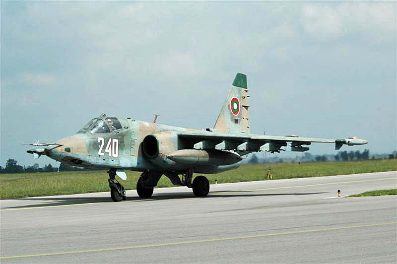 DSC_1368.JPG - A Su-25 from 22 Shturmova Aviacionna Basa
